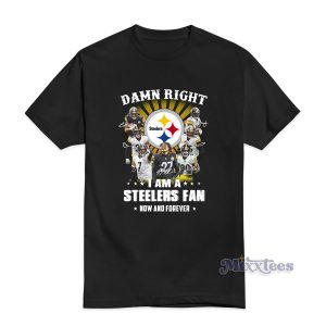 Pittsburgh Steelers Fan Now And Forever T-Shirt