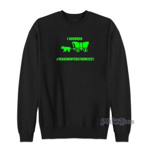 I Survived Texas Winterstorm 2021 Sweatshirt for Unisex