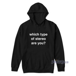 Which Type Of Stereo Are You Hoodie for Unisex