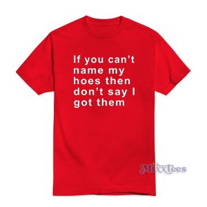 If You Can't Name My Hoes Then Don't Say I Got Them T-Shirt