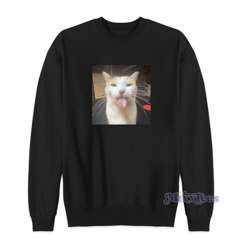 Meme sweatshirt online