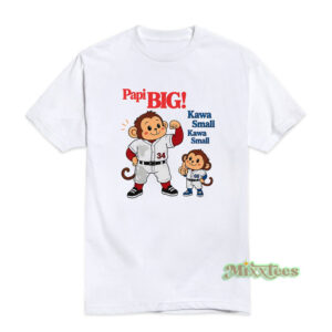 Munenori Kawasaki Papi Big Kawa Small T-Shirt